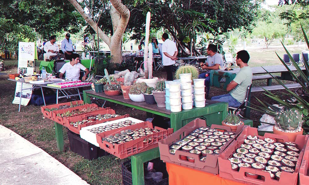 Exhibición de plantas en la Segunda Feria de Vida Silvestre de Yucatán