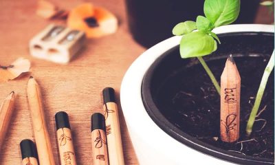 lapices ecologicos Sprout