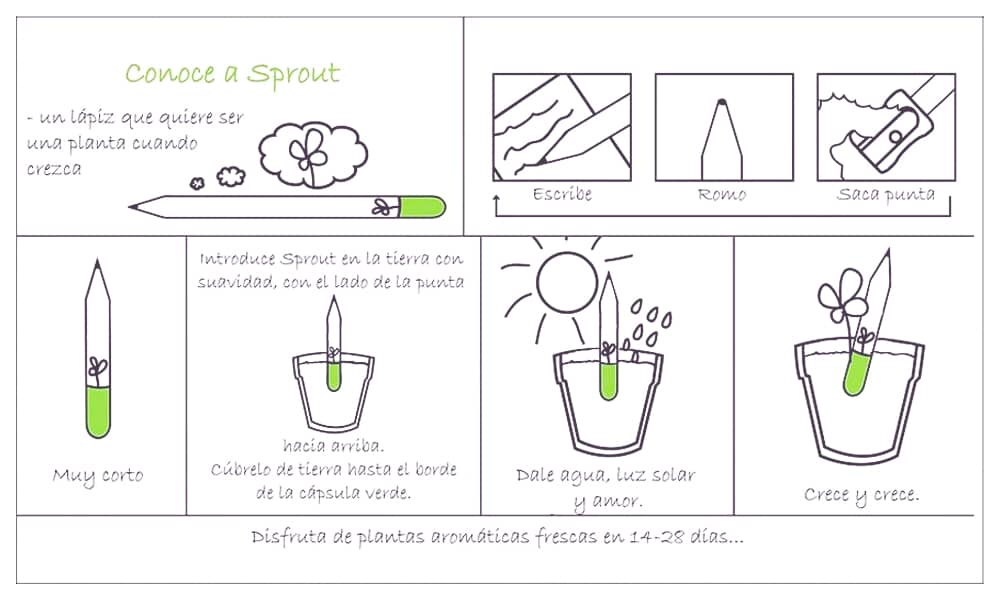 Lápices ecológicos: como plantar el lapiz Sprout