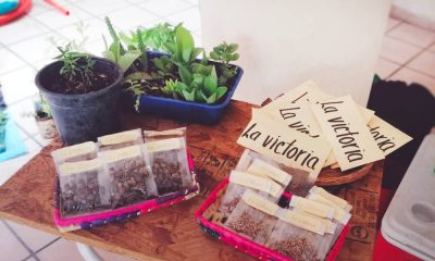 Segunda feria Eco circula